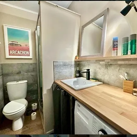 Equipe Face Au Port *